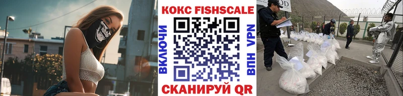 Cocaine FishScale  Купить где  Новая Ляля 