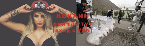 гидропоника Ельня
