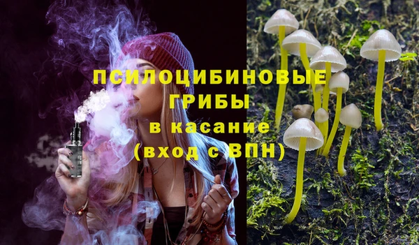 экстази Елабуга