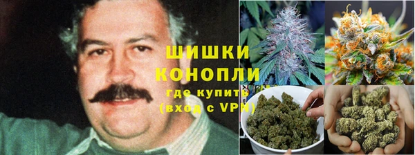 гидропоника Ельня